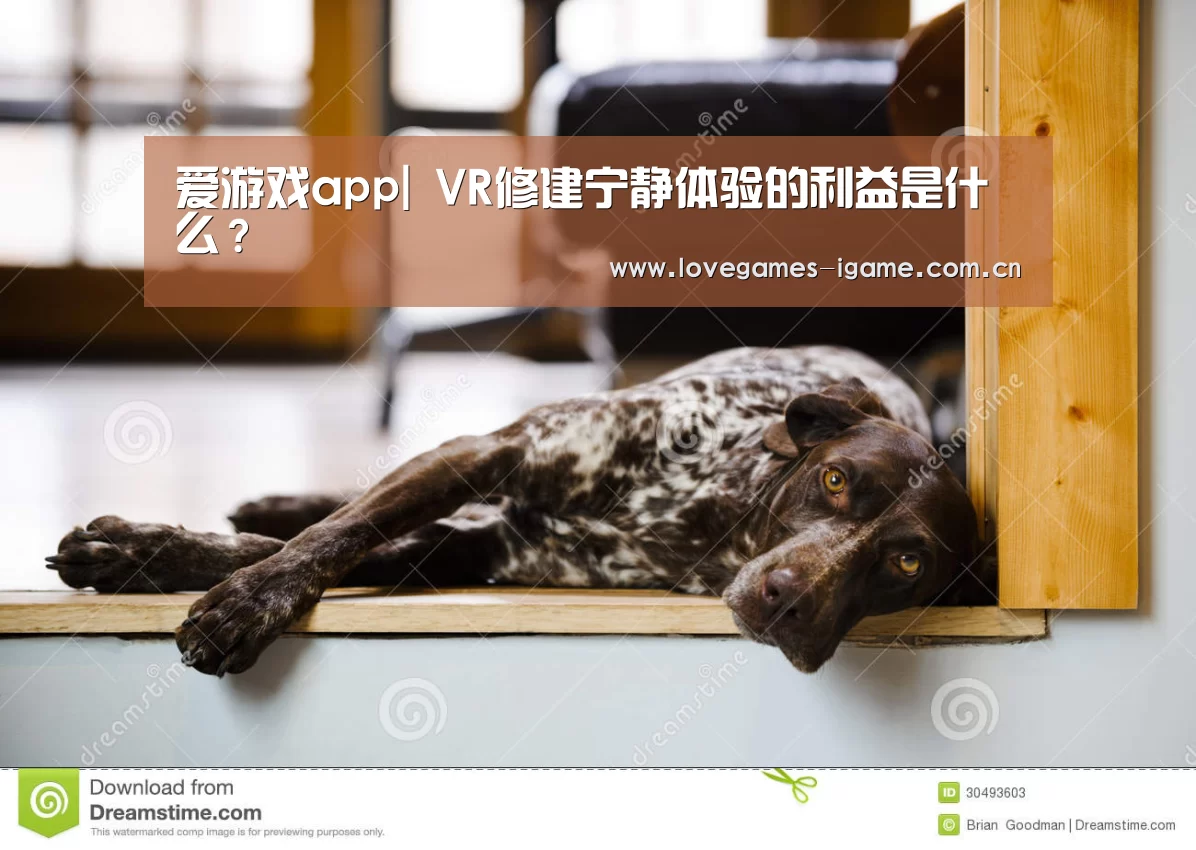 爱游戏app|
VR修建宁静体验的利益是什么?(图3) 爱游戏官网