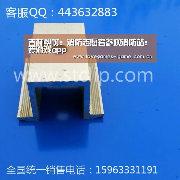 吉林梨树:消防志愿者参观消防站:爱游戏app(图3) 爱游戏