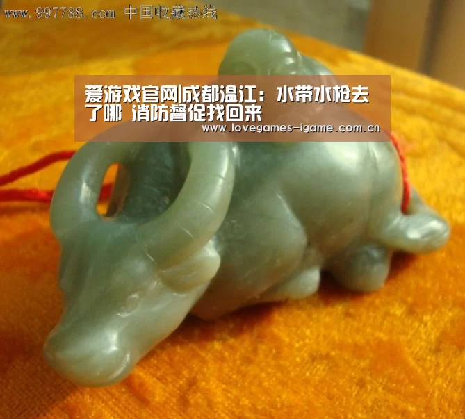 爱游戏官网|成都温江：水带水枪去了哪 消