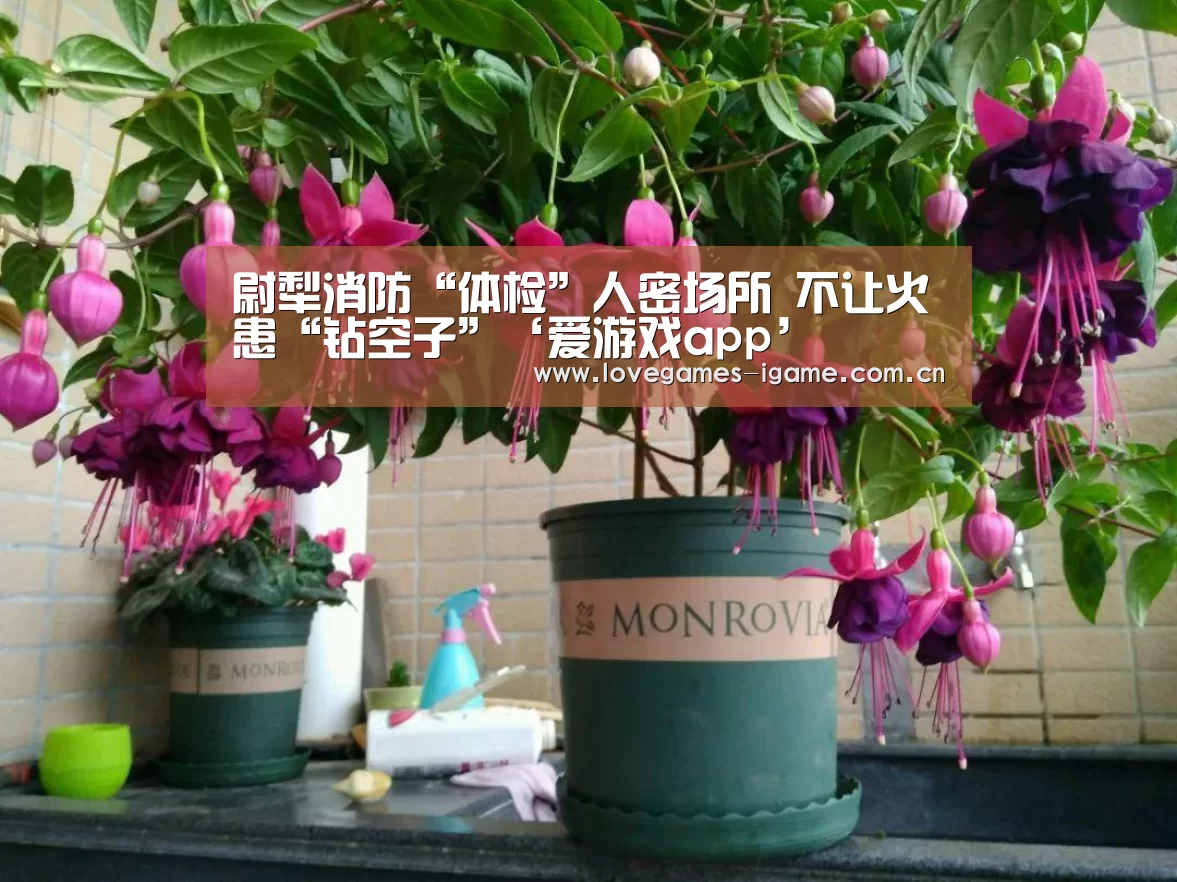 尉犁消防“体检”人密场所 不让火患“钻空子”‘爱游戏app’(图2) 爱游戏