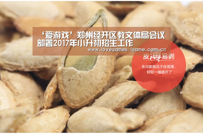 爱游戏官网